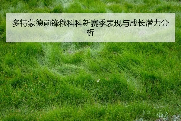 多特蒙德前锋穆科科新赛季表现与成长潜力分析